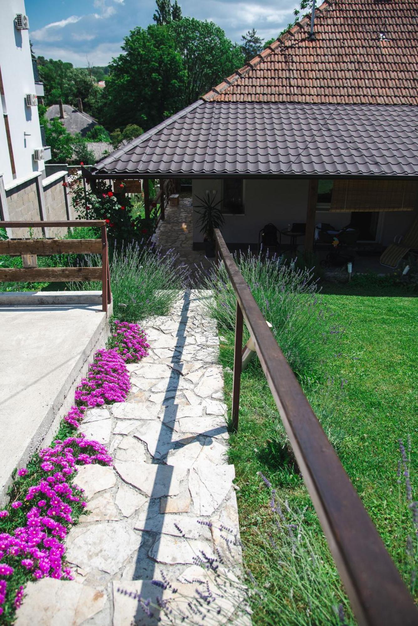 Apartmani Maslacak Vrdnik Exterior foto
